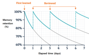 Why Developers (and Organizations) Need Skills Accreditation