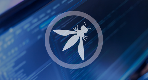 How to Avoid the OWASP Top 10 List of Software Vulnerabilities and Risks